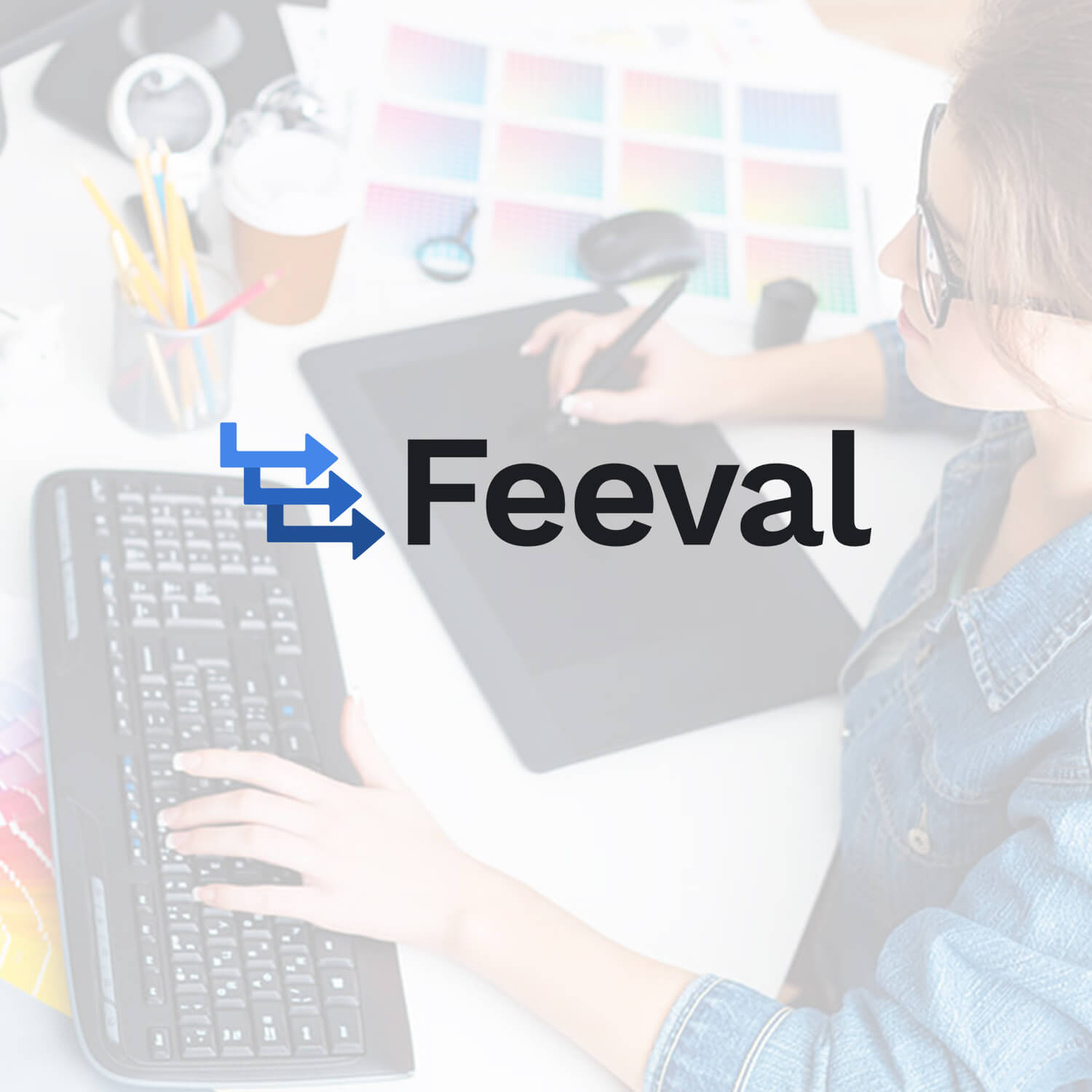 FEEVAL Application Development